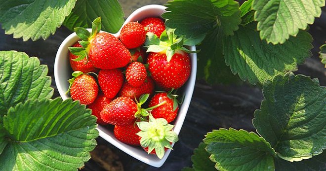 Variants of Strawberry Dishes for the Keto Diet